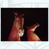 The Kelpies - Photographic Print - Amy Davidson